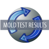 lead clear paint mold test results